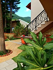 Panorama Apartments and Studios Thassos Greece