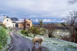 Pesaulhé - Cuqueron