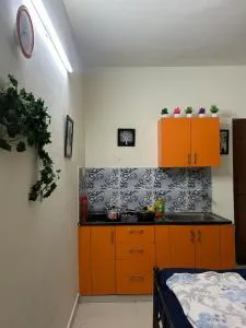 Compact one room flat in Whitefield - Mini, Basic - Krishnarājpur
