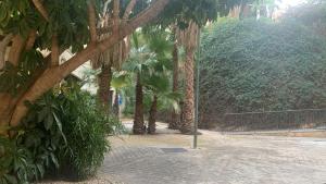 Ático en La Envía con estupendas vistas y tranquilidad