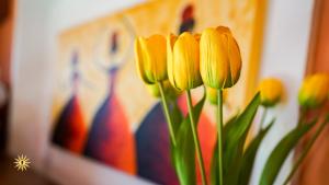 Villa Gambula - Relax and Pool img70