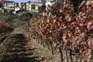 La Posadica Casa Aldabe