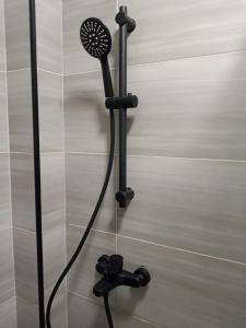 Nanic Homes Aries Studio