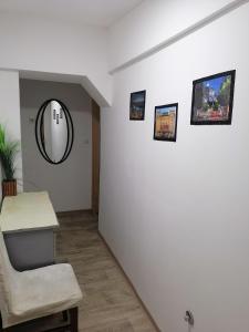 Small low cost studio Dorcol