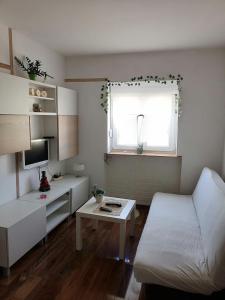 Small low cost studio Dorcol