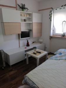 Small low cost studio Dorcol