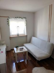 Small low cost studio Dorcol