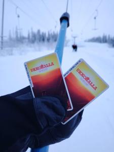 Wilderness View Ukkohalla inc 2 lift tickets