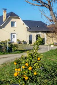 B&B / Chambres d'hotes Pesaulhe : photos des chambres
