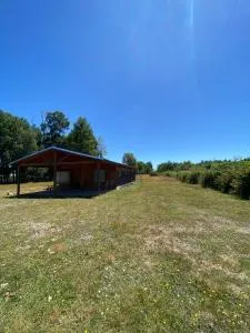 Cabaña en el Campo de Villarrica - Huiscapi