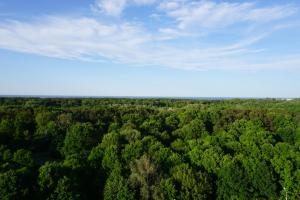 Mieszkanie z widokiem na morze Trójmiasto Gdańsk - Plaża - Klima - Sauna i Siłownia - Parking