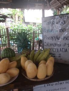 Marys Homestay Apo island