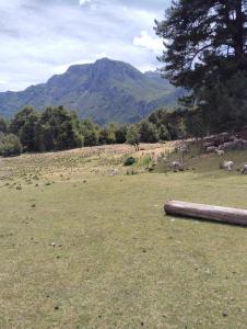 Camping Arroyo Quila Seca - Ubytování bez kategorie ve městě Futaleufú