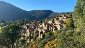 Maisons de vacances Ostal de la Croix Vieussan : photos des chambres