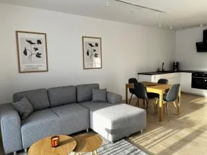 Apartamenty pod sosną - Злотув