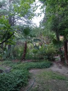 Waldhaus, la casa del bosque