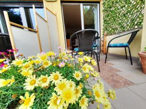 Apartament 1 przy Termach Cieplickich