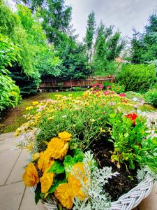 Apartament 1 przy Termach Cieplickich - 3-star hotels in Jelenia Góra