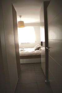 Peaceful 1BR Apartment with Garden