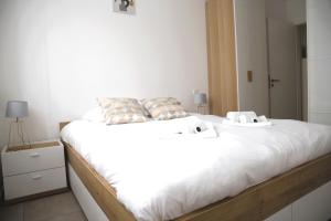 Peaceful 1BR Apartment with Garden