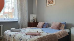 Apartament Anielki