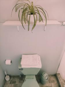 Apartamento Setimio 350