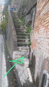 Il giardino dei limoni