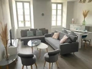 T3 spacieux plein centre, parking,clim, patio, jardin - Foix