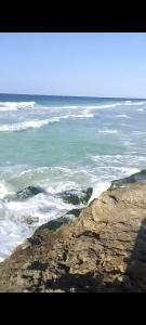 for calmness lovers and relax