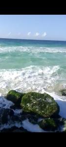 for calmness lovers and relax