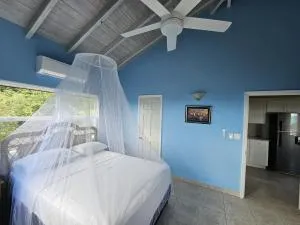 Caribbean Sea View Cottage - Johnsons Point