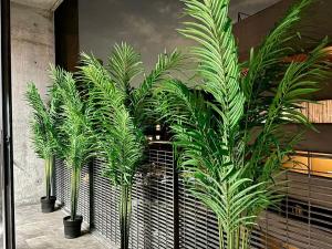 Condesa, departamento completo