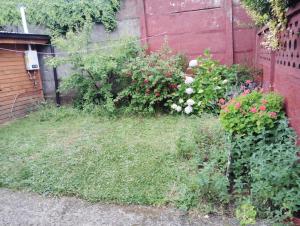 Cabaña interior en barrio residencial
