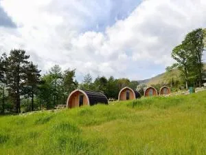 Lowside Farm Glamping - تراوتبك