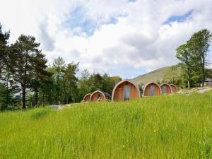 Lowside Farm Glamping