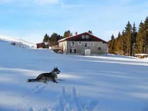 Maison isolée et calme à Septmoncel avec vue sur montagne - Septmoncel