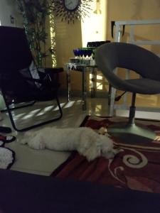 Casa 2 andares COP30