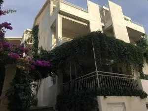 Apartments and rooms by the sea Drasnice, Makarska - 22573 - Drašnice