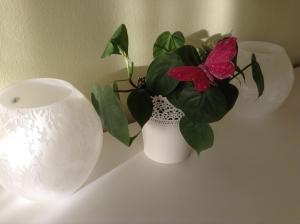 Apartments and rooms by the sea Drasnice, Makarska - 22573