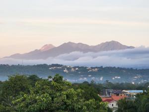 2 br City and Mountain View 1016