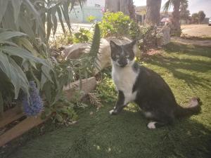 Cabañas Mirador de Soledad