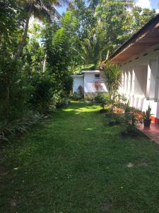 Eco Space Villa