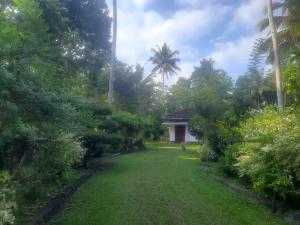 Eco Space Villa