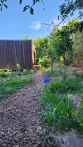 Las Nandinas - Cerezo - 卢汉德库约