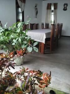 Lagoonvilla hotel