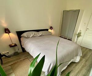 Appartements Appartment T3 center Guerande : photos des chambres