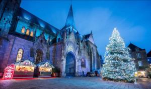 Appartements Appartment T3 center Guerande : photos des chambres