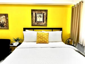 NEW! Studio with Balcony & Park View in Greenbelt