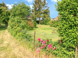 Maisons de vacances Maison de charme a Mailly-Maillet avec jardin cloture et cheminee : photos des chambres