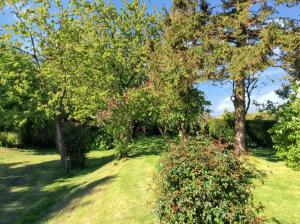 Maisons de vacances Maison de charme a Mailly-Maillet avec jardin cloture et cheminee : photos des chambres